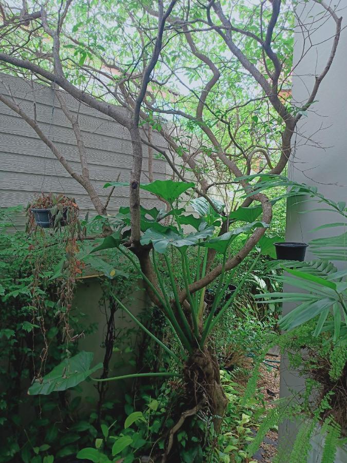 Sri Ngachang Chiang Mai Extérieur photo